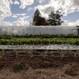 Les Jardins de Cousteau #2