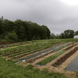 Les Jardins de Cousteau #3