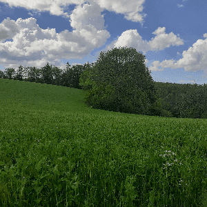 SAS O pré des volcans