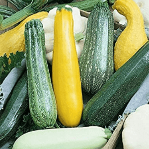 Courgettes en mélange