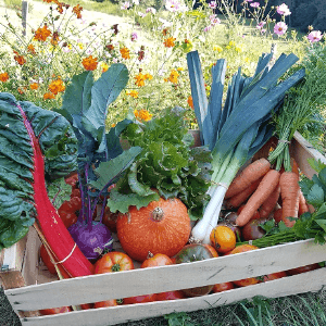 Panier de légumes de saison 15€