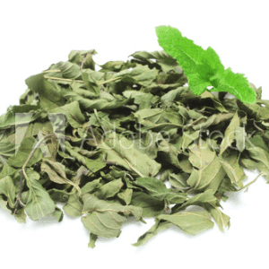 Menthe verte bio sachet