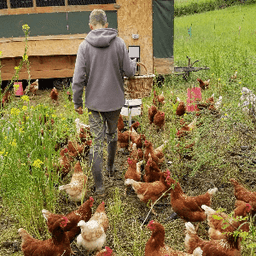 Ferme l'Arizière #3