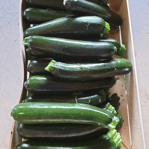 Courgette