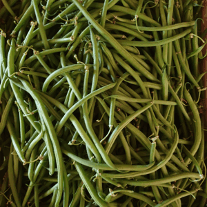 Haricot Vert