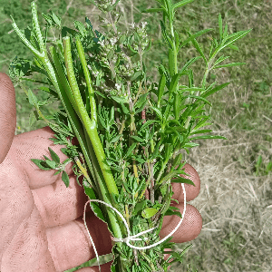 Bouquet garni frais