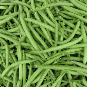 Haricots verts