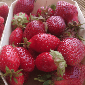 fraises