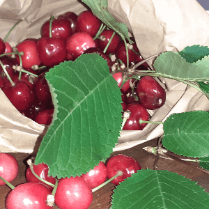 Cerises