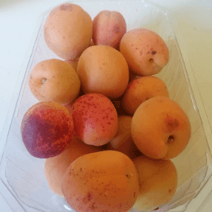 Abricots bio
