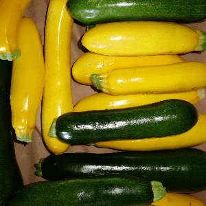 Courgettes