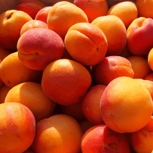 Abricots confitures par 5Kg