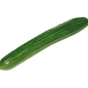 Concombre