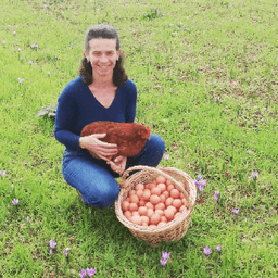 La Ferme du Moulin à Vent #6