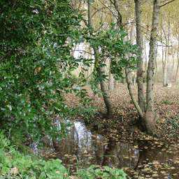 La Ferme des Mille Liens #2