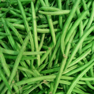 Haricots verts bio 500gr