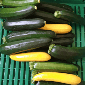 Courgettes