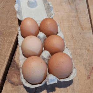 OEUFS