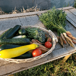 La ferme des Coquelinelles #4