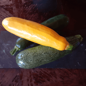 Courgette (Sarrat)
