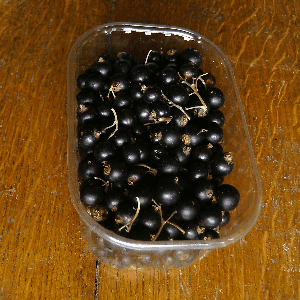 Cassis noir