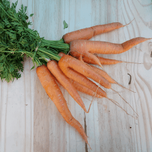 Botte de carottes