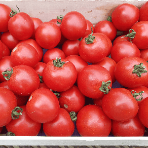 Tomates