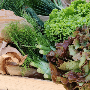 a - Panier de légumes bio variés