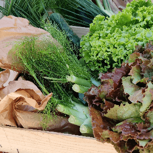 aa- Panier de légumes bio variés