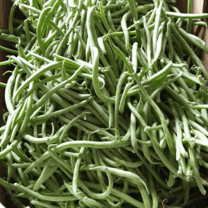Haricots verts