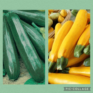 Courgettes vertes foncées ou jaunes