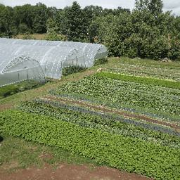 Le jardin des Margots- producteur #6