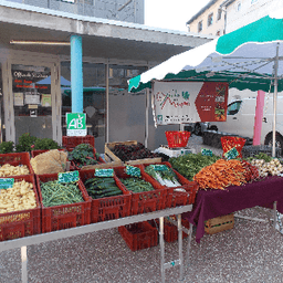 Le jardin des Margots- producteur #4