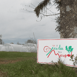 Le jardin des Margots- producteur #8
