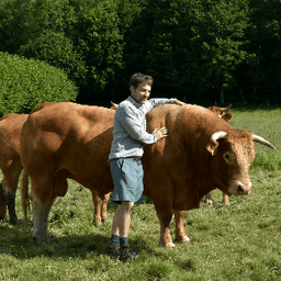 Ferme du Puy Larcy #4