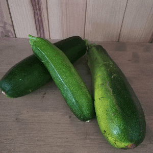 Courgette longue verte