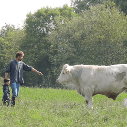 La Ferme de Punault #4