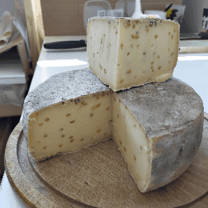 Tomme au fenugrec