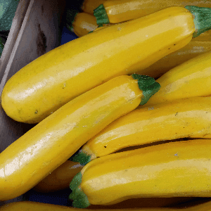 Courgettes jaunes