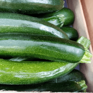 Courgettes longues