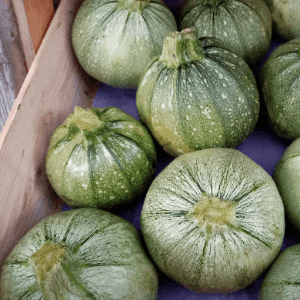 Courgettes rondes
