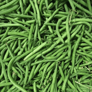 Haricot vert 