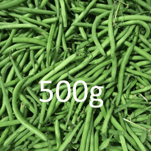 Haricot vert 