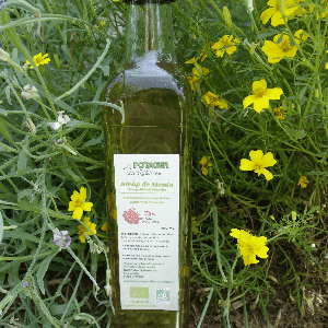 Sirop de menthe