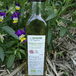 Sirop de menthe