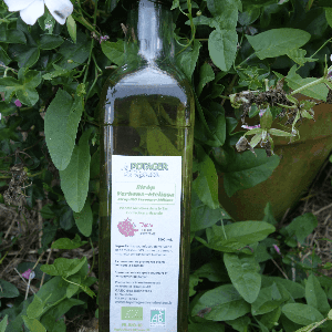 Sirop de verveine/mélisse