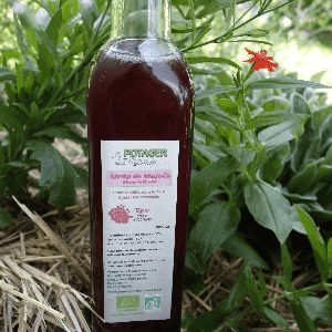 Sirop de fraises