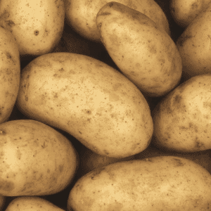 Pommes de terre nouvelles bio