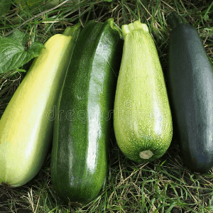 courgette
