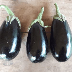 Aubergine